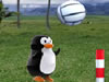 企鹅的排球赛